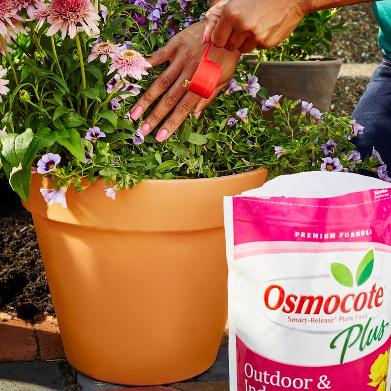 Osmocote® Smart-Release® Plant Food Plus Outdoor & Indoor image number null
