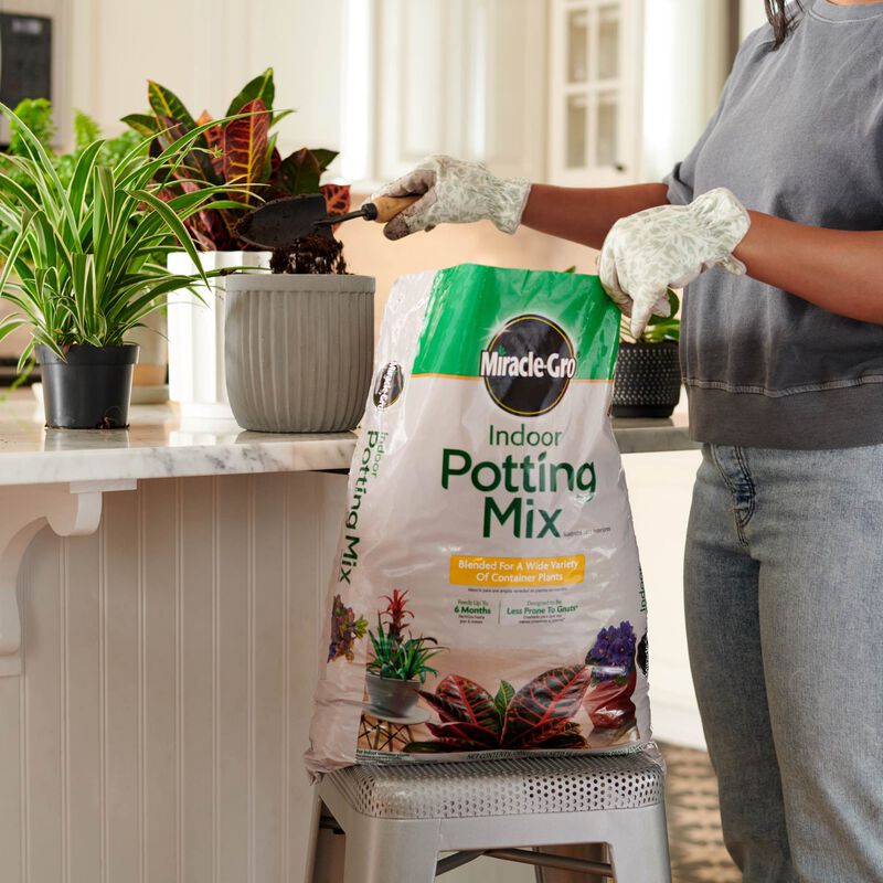 Miracle-Gro® Indoor Potting Mix image number null