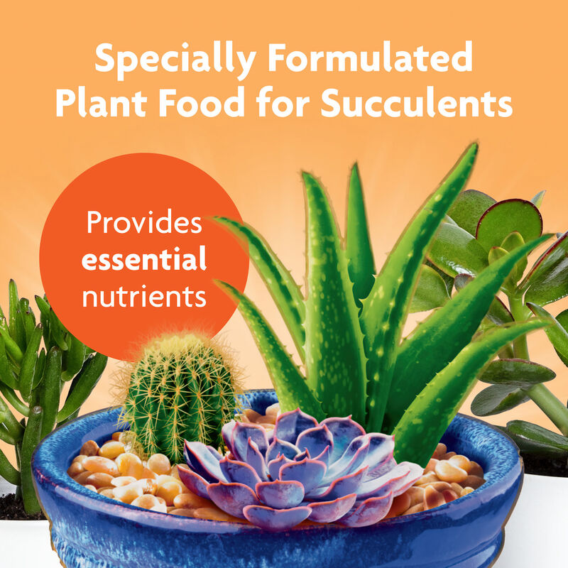 Miracle-Gro® Succulent Plant Food image number null