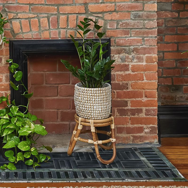 Barefoot Plant Stand image number null