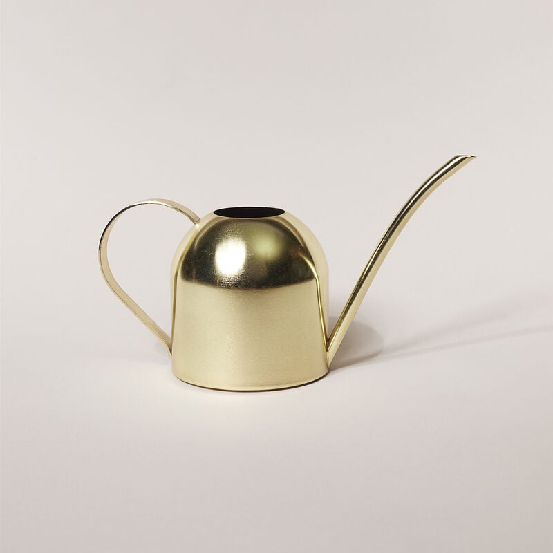 Oasis Watering Can in Gold image number null