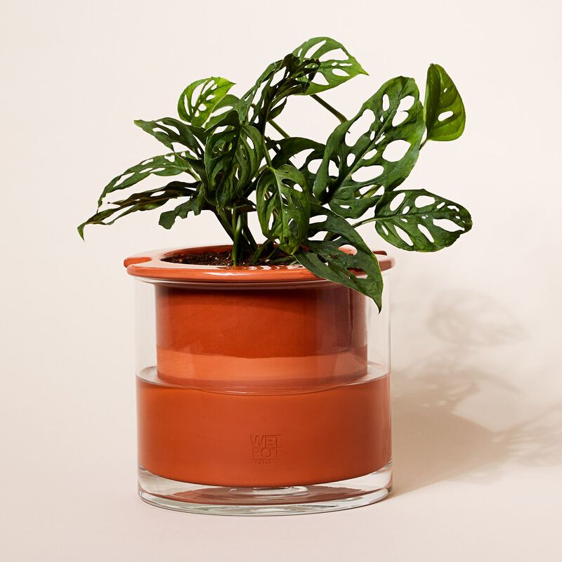 MoMA Self Watering Pot image number null