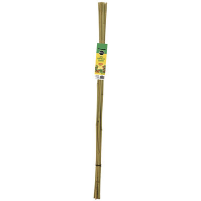 Miracle-Gro 2' Packaged Bamboo Stake 12-pk