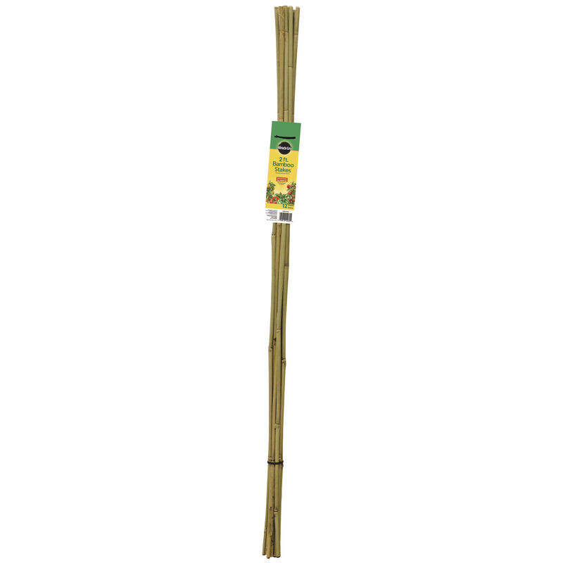 Miracle-Gro 2' Packaged Bamboo Stake 12-pk image number null